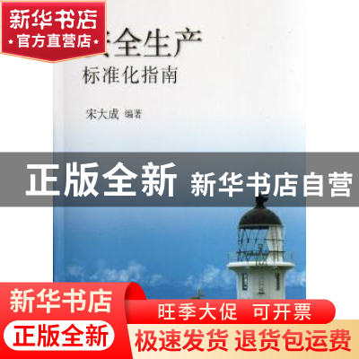 正版 安全生产标准化指南 宋大成编著 煤炭工业出版社 9787