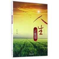 正版新书]人生正能量严正言9787514509984