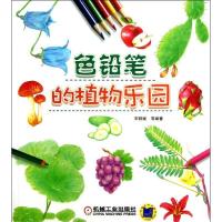 正版新书]色铅笔的植物乐园宋丽斌9787111432517