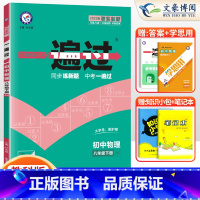 [物理]8下 教科版 八年级/初中二年级 [正版]2024版初中一遍过八年级上册下册数学语文英语物理政治历史地理生物人教
