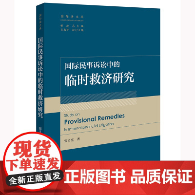 2024新书 国际民事诉讼中的临时救济研究 张文亮 著 法律出版社