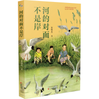 正版新书]河的对面不是岸宋晓杰 著9787530682333