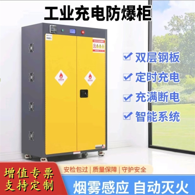 易企采 两门A款三代锂电池智能充电储存防火防爆柜铅蓄电池排风安全柜电瓶车电池防火箱