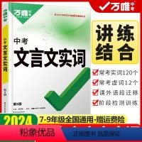 文言文实词 初中通用 [正版]2024新版文言文实词虚词初中语文专项训练七八九年级初一初二初三总复习教辅资料万维中考文言