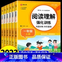 [全套4册]阅读理解+写作+看拼音+字帖 四年级上 [正版]小学语文阅读理解专项训练书人教版 一年级二年级三年级四五六年