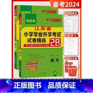 备考2024[2本]语文+数学-江苏专用 小学升初中 [正版]小升初江苏省小学毕业升学考试试卷精选28套卷语文数学英语小