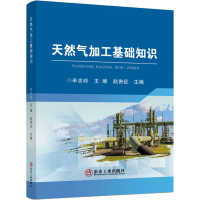 正版新书]天然气加工基础知识辛志玲,王维,赵贵征 编97875024891