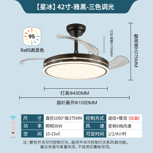 雷士照明(NVC)吊扇灯客厅餐厅家用风扇吊灯简约现代电扇灯具遥控变频隐形风扇灯