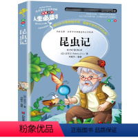 昆虫记 [正版]金银岛书 史蒂文森原著 世界经典名著小学生三四五六年级必读课外阅读书籍故事人民青少年儿童版文学读物山东美