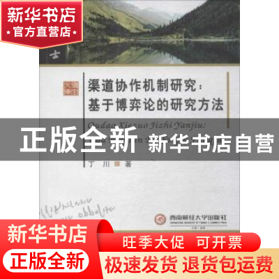 正版 渠道协作机制研究:基于博弈论的研究方法 丁川著 西南财经大