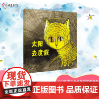 太阳去度假精装绘本图画书一个异想天开的故事独具特色的双色调拼贴插画天略童书馆
