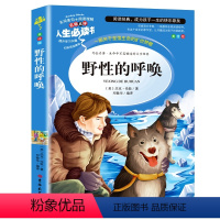 野性的呼唤 [正版]金银岛书 史蒂文森原著 世界经典名著小学生三四五六年级必读课外阅读书籍故事人民青少年儿童版文学读物山