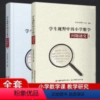 问题研究1 2 共二册 小学通用 [正版]学生视野中的小学数学1-2 问题研究 小学数学课教师教学研究一二三四五六年级小