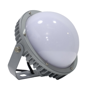 倬屹(ZHUOYI)FZY927-E100-100W IP66 220V 冷白 LED平台灯 (计价单位:个) 银色