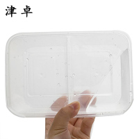 津卓 两格餐盒双格餐盒 300套 箱