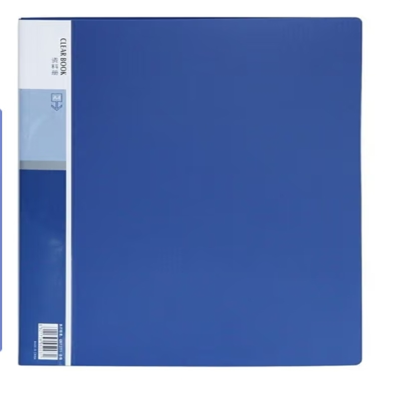 得力(deli) A4资料册文件册活页插页多页多层档案夹 [A4-30页]5003AS