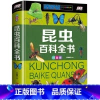 [正版]精装珍藏版昆虫百科全书儿童世界之中国未解之谜植物动物地理恐龙大科普注音儿童读物彩图小学生一二三年级阅读课外书必