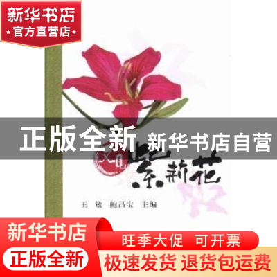 正版 又见紫荆花 王敏,鲍昌宝主编 暨南大学出版社 978756680475