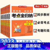 [语文]考点全归纳 一年级上 [正版]2024新版小学考点全归纳语文一2二2三3四4五5六6年级上册人教版同步练习册阅读