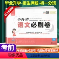 语文 小学升初中 [正版]新版全脑小升初语文必刷卷六年级语文考前压轴检测卷专项突破提优毕业升学真题押题卷初中生初一招生分