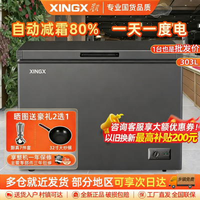 星星(XINGX)BD/BC-303QE家用小型冰柜 卧式冷柜预涂内胆单温厨房商用保鲜设备303升自动减霜1级能效