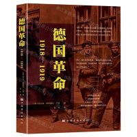 [N]德国革命(1918-1919)(精)-9787511387707