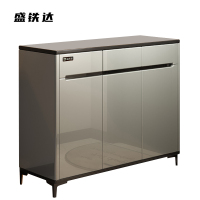 盛铁达 鞋柜玄关柜 100*32*100cm STD-JJ181 个