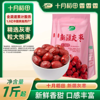 十月稻田 新疆灰枣500g 1斤 新疆特产 小红枣 零食 煲汤煮粥 粽子