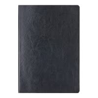 齐心 C5868 软皮皮面本B5 96张 黑 一本