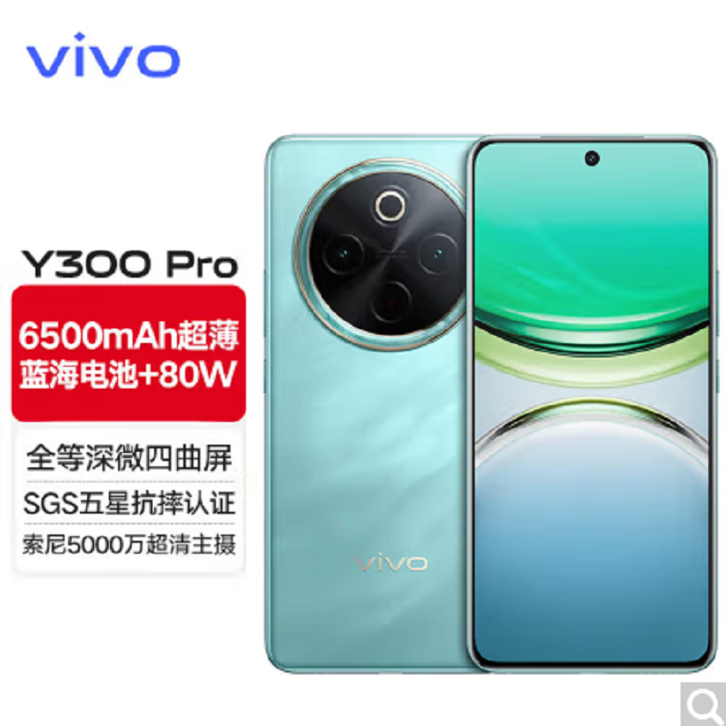 vivo Y300 Pro 金镶玉 12GB+512GB 骁龙6 5G芯 6500mAh电池 80W充电 5000万高清影像 5G 手机