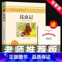 [八年级上]昆虫记 [正版]人教版八年级上下册经典常谈钢铁是怎样炼成的红星照耀中国和昆虫记长征飞向太空港星星离我们有多远