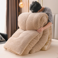 牛奶绒被子被芯双面绒秋冬被加厚加绒学生绒被褥十斤保暖新款