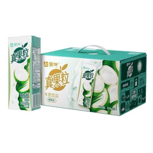 蒙牛真果粒椰果粒250g*12盒 2月产