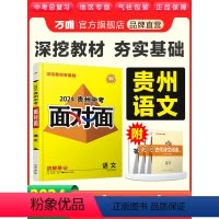 语州省 [正版]2024贵州语文面对面中考一二三轮总复习资料全套七八九年级初三语文模拟题训练历年中考真题卷辅导书练
