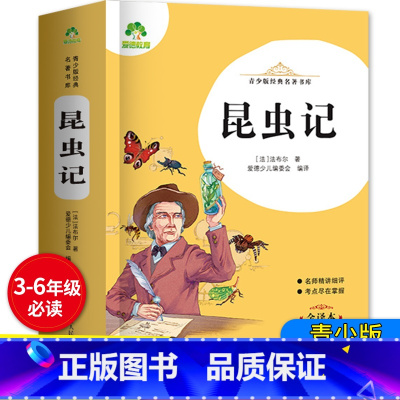 昆虫记 456页 [正版]原著完整版昆虫记法布尔青少年版名著原版全集套装七八年级7-8上册下册必读学生版人教小学生书籍语