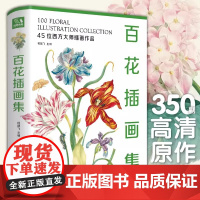 百花插画集2023经典全集杨建飞 大师手绘植物花卉博物版画谱临摹