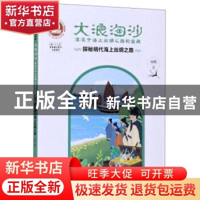 正版 大浪淘沙(探秘明代海上丝绸之路湮没于海上丝绸之路的宝藏)/
