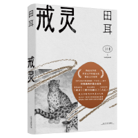 音像戒灵(田耳作品)田耳