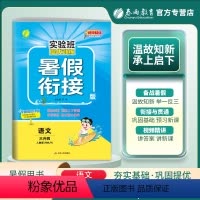 语文 小学三年级 [正版]2023秋实验班提优训练暑假衔接三升四年级语文人教版假期训练3升4年级同步练习册暑假作业三年级