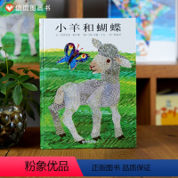 《逛商店街》体验大世界 赠指导手册 [正版]信谊绘本 小羊和蝴蝶 精装硬壳绘本 信谊世界精选图画书 少儿幼儿童绘本图书3