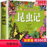 [正版] 昆虫记 彩图注音版 小树苗儿童成长经典阅读宝库少儿读物3-6-8周岁幼儿启蒙读物睡前童话故事书小学生一二年级