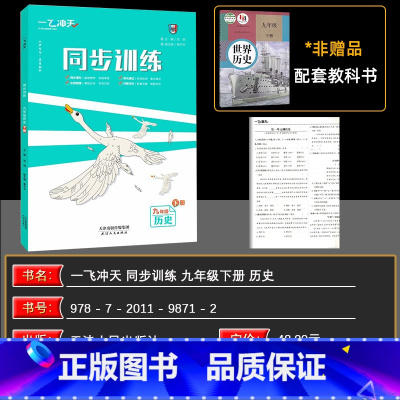 历史 九年级下 [正版]2025版同步训练九年级全一册下册历史人教版课时作业单元期中期末同步课时课堂基础知识巩固提优综合