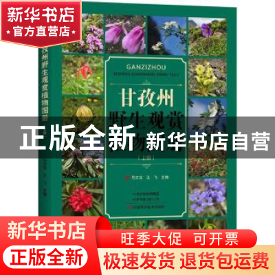 正版 甘孜州野生观赏植物图册:上册 马文宝,王飞主编 河南科学技