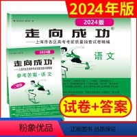 语文 上海 [正版]2024年版走向成功上海市高考二模卷 语文试卷+参考答案全套2本 高考二模卷 高考考前冲刺真题模拟练