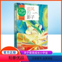 追风的影子 [正版]追风的影子 王天宁著 天宁哥哥成长小宇宙fb图书 山东大学出版社 中小学生课外书读物书籍