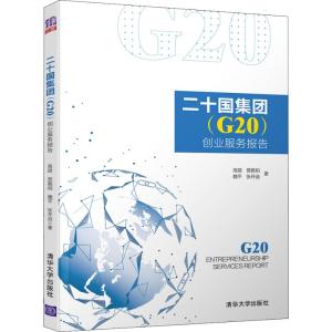二十国集团(G20)创业服务报告