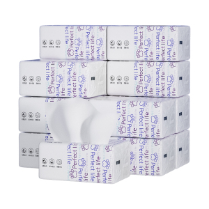 艾逸瑶选 原生木浆完美生活亲肤软抽纸360张12包 170*140mm AYYX038-12