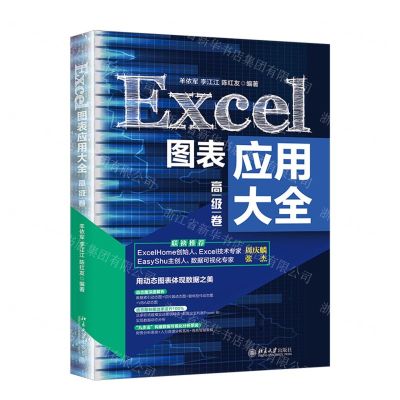 [N]Excel图表应用大全(高级卷)-9787301316535