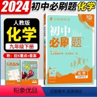 化学 九年级下 [正版]2024春新版 初中九年级下册化学 人教版RJ 初三9/九年级下册化学同步训练练习册 理想树初中