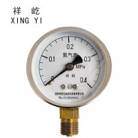 祥屹+氮气压力表检测定制型+Y60+块